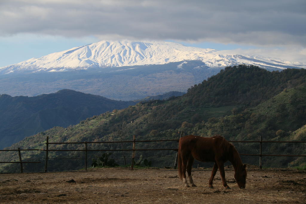 Agriturismo San Cataldo Motta Camastra Exteriér fotografie